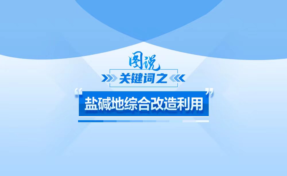 关于“盐碱地综合改造利用” ，政策点读带你一起e站中文注入！