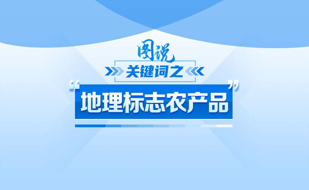 什么是“地理标志农产品”？政策点读带你一起e站中文注入！